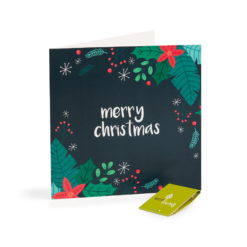Recycled Christmas Cards Plant Berries