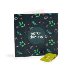 Recycled Christmas Cards Plant Berries